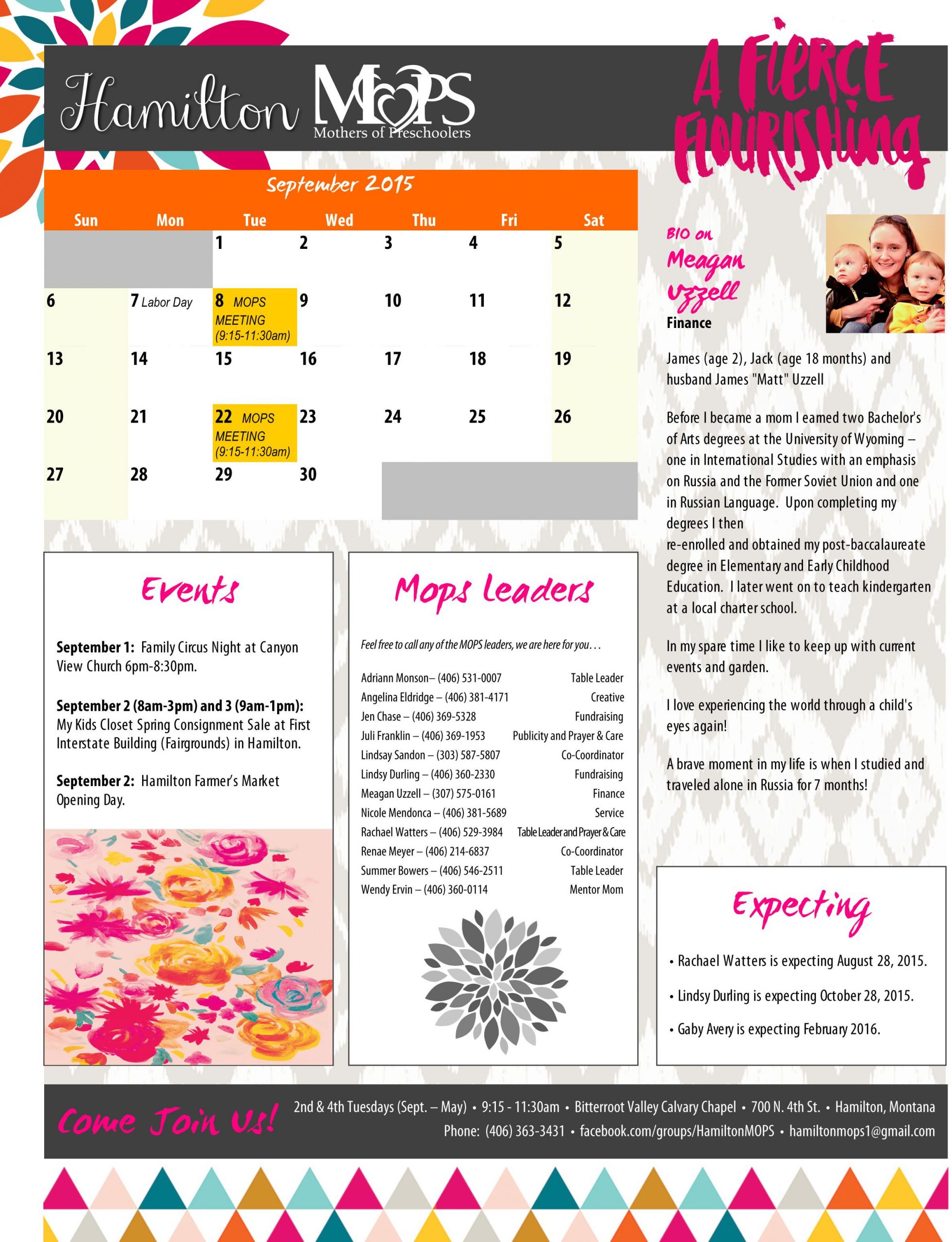 One Page Newsletter Template E Page Newsletter Template