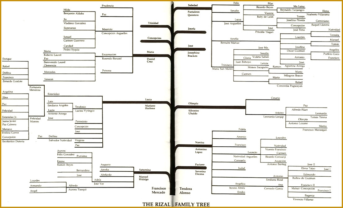 Family Tree Book Template 5 Blank Family Tree Book