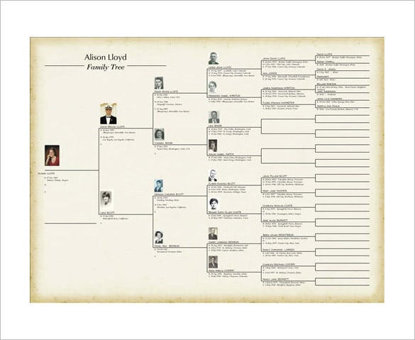 Family Tree Book Template Family Tree Book Template – 11 Free Sample Example