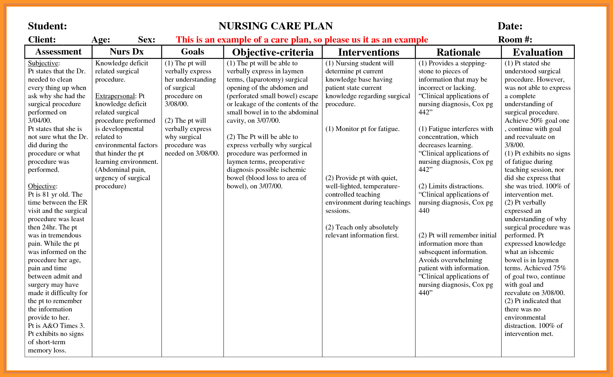 Nursing Care Plan Template 9 10 Nursing Care Plan format