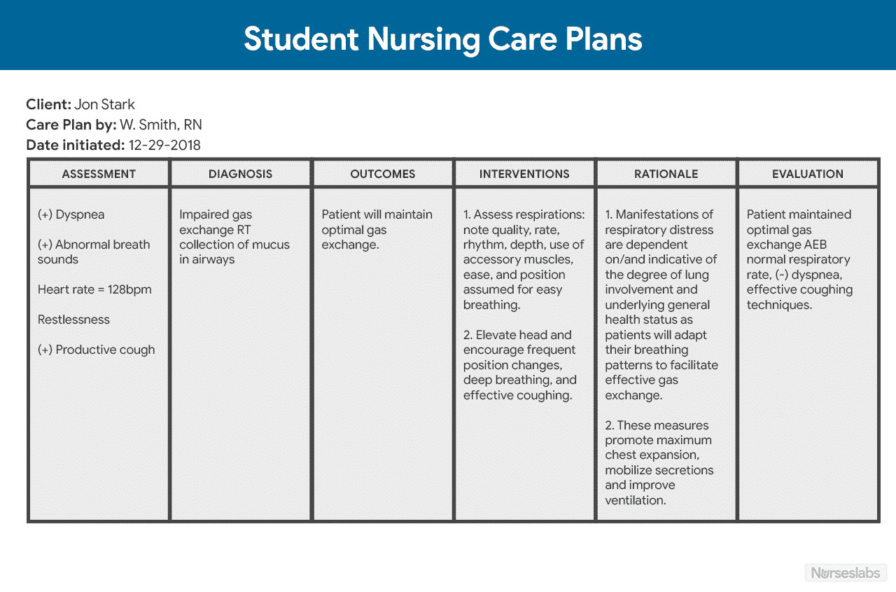 Nursing Care Plan Template Nursing Care Plan Ncp Ultimate Guide and Database