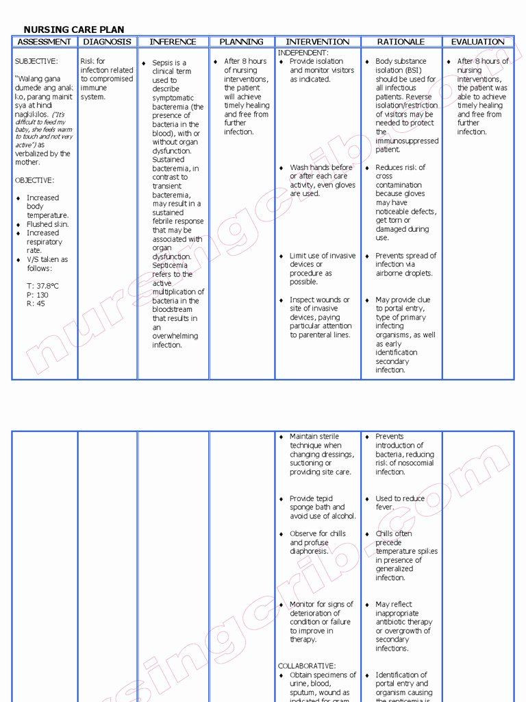 Patient Teaching Plan Examples New Nursing Care Plan Sepsis