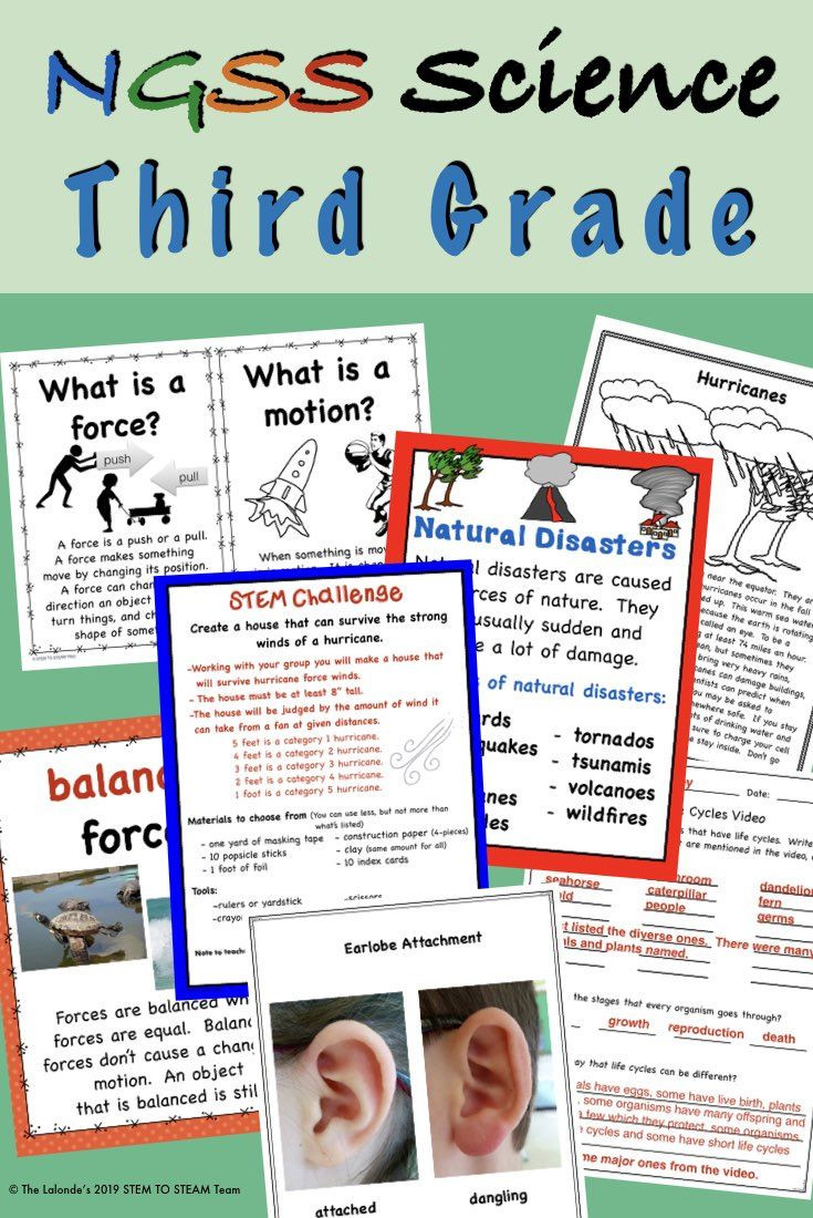 3rd Grade Science Lesson Plans these 3rd Grade Science Lesson Plans are All You Will Need