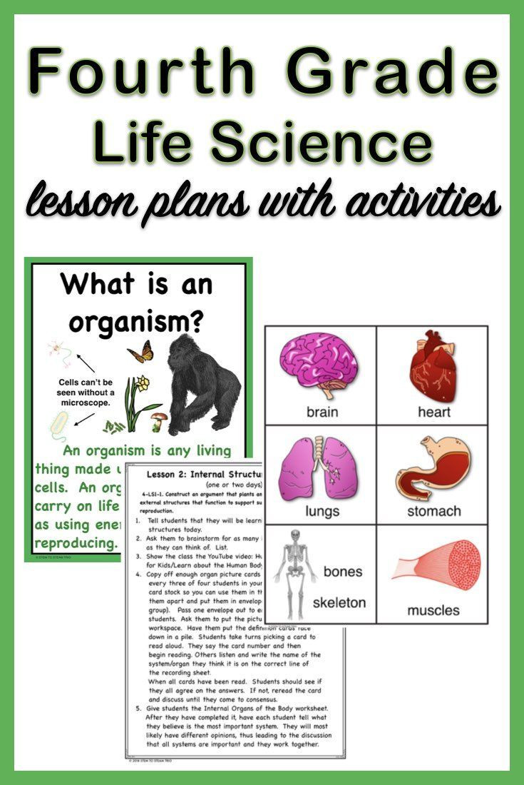 4th Grade Science Lesson Plans Fourth Grade Ngss 4 Ls1 Life Science Unit In 2020