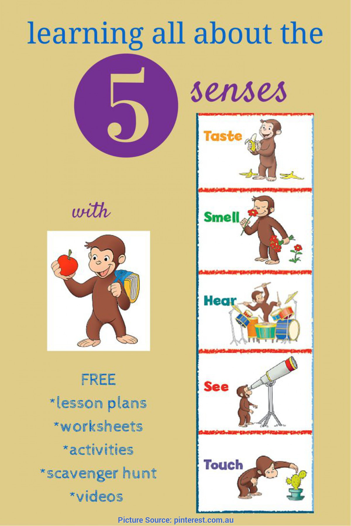 5 Senses Lesson Plans Typical Pre K Lesson Plans About Five Senses Resources to
