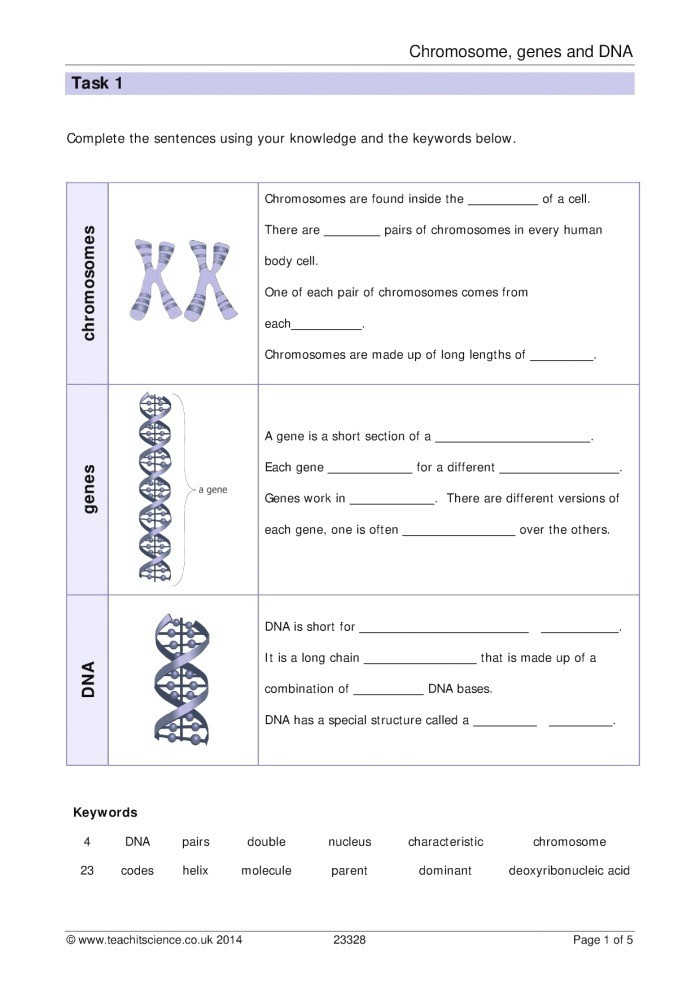 7th Grade Science Lesson Plans 7th Grade Science Worksheets with Answers – Super Worksheets