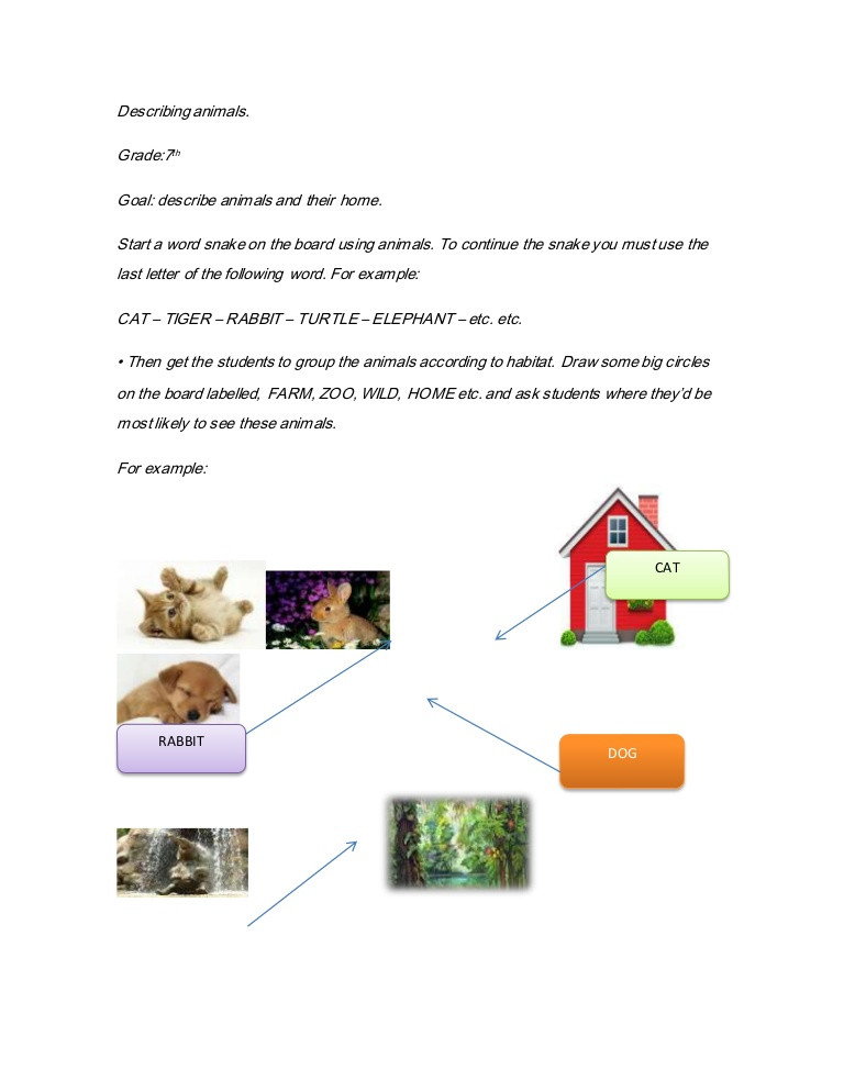 Animals Lesson Plan Describing Animals Lesson Plan