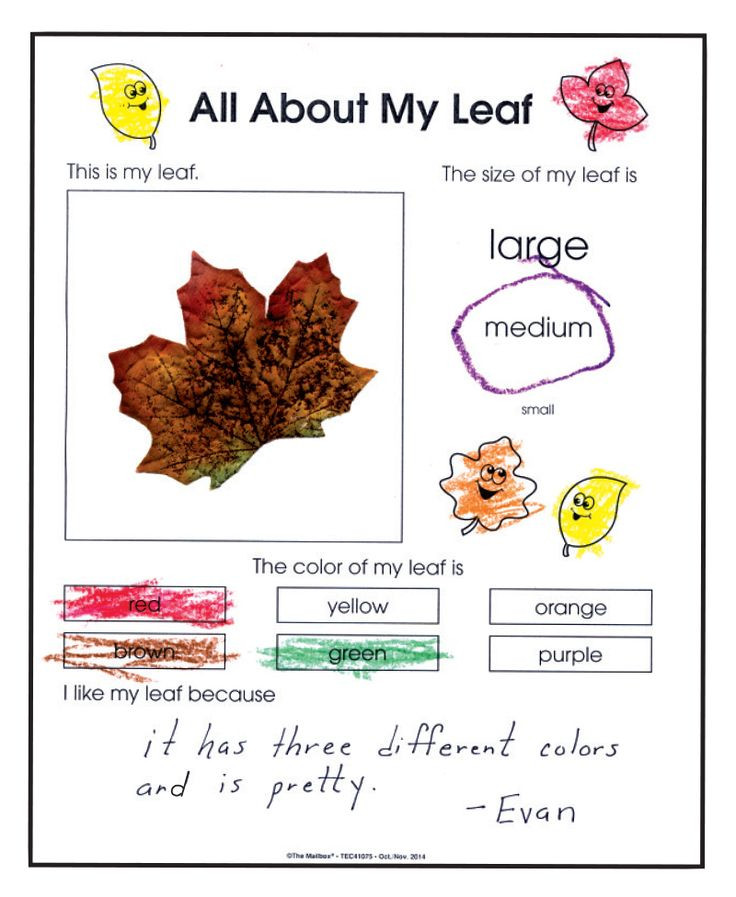 Fall Lesson Plans for Preschool 17 Best Images About Fall In Kindergarten On Pinterest