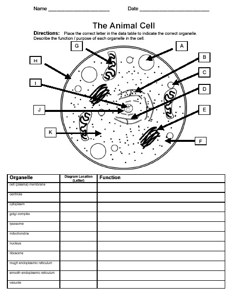 High School Biology Lesson Plans Cellular Biology Workbook Page 1 Sample