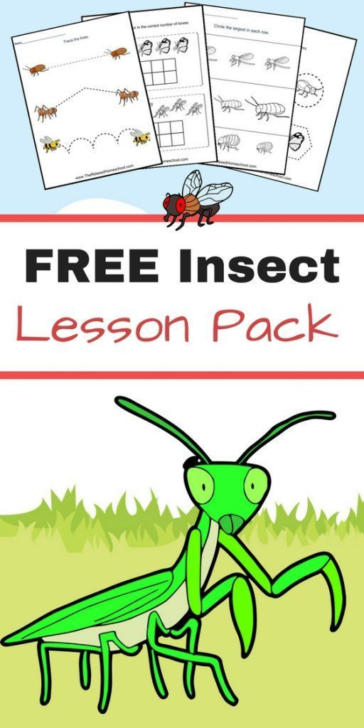 Insect Lesson Plans for Preschool 947 Best Bugs &amp; Insect Activities for Kids Images On