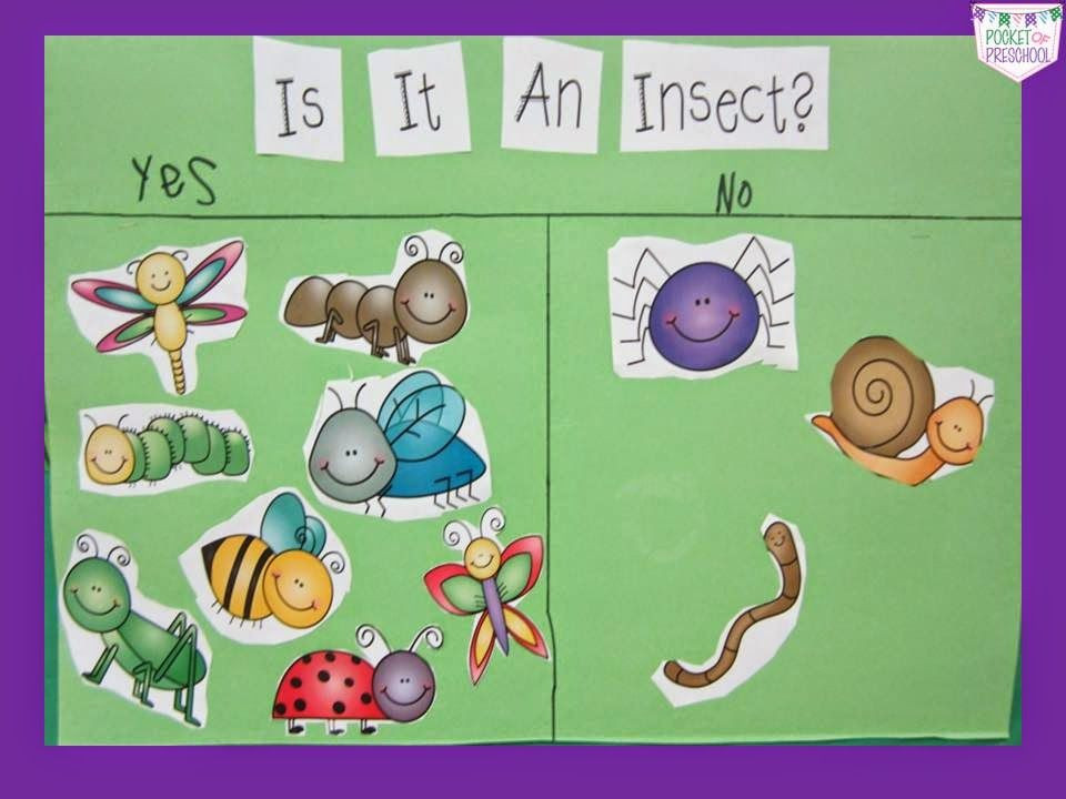 Insect Lesson Plans for Preschool butterfly Study Science &amp; Literacy and Giveaway