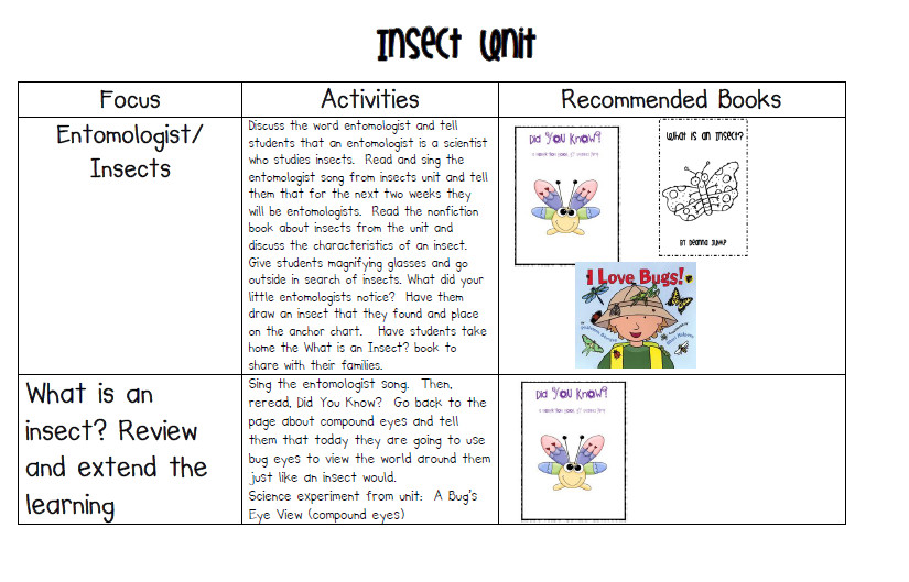 Insect Lesson Plans for Preschool Insect Learning Fun Freebies and A Sale Mrs Jump S Class