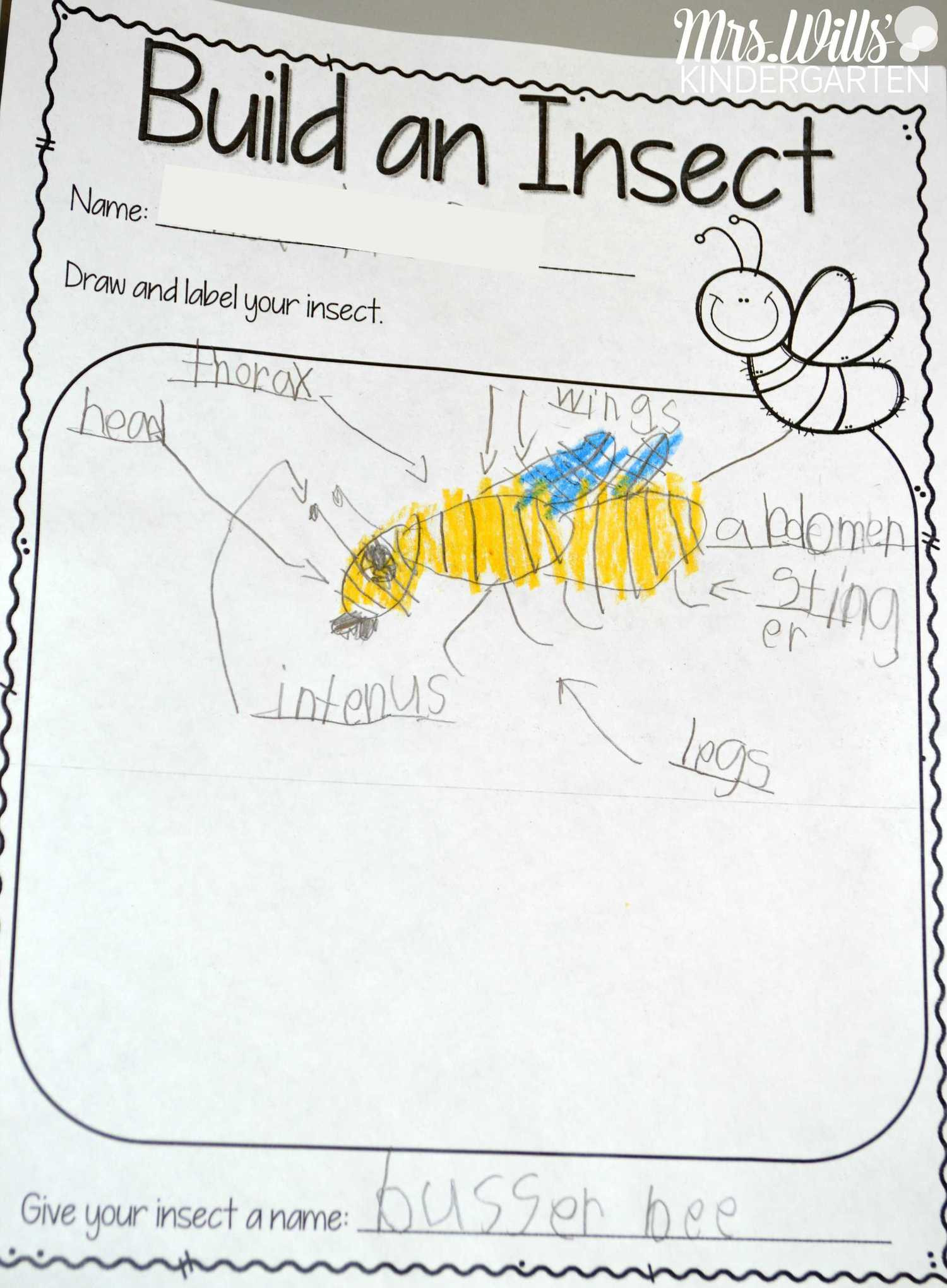 Insect Lesson Plans for Preschool Insect Lesson Plans for Kindergarten