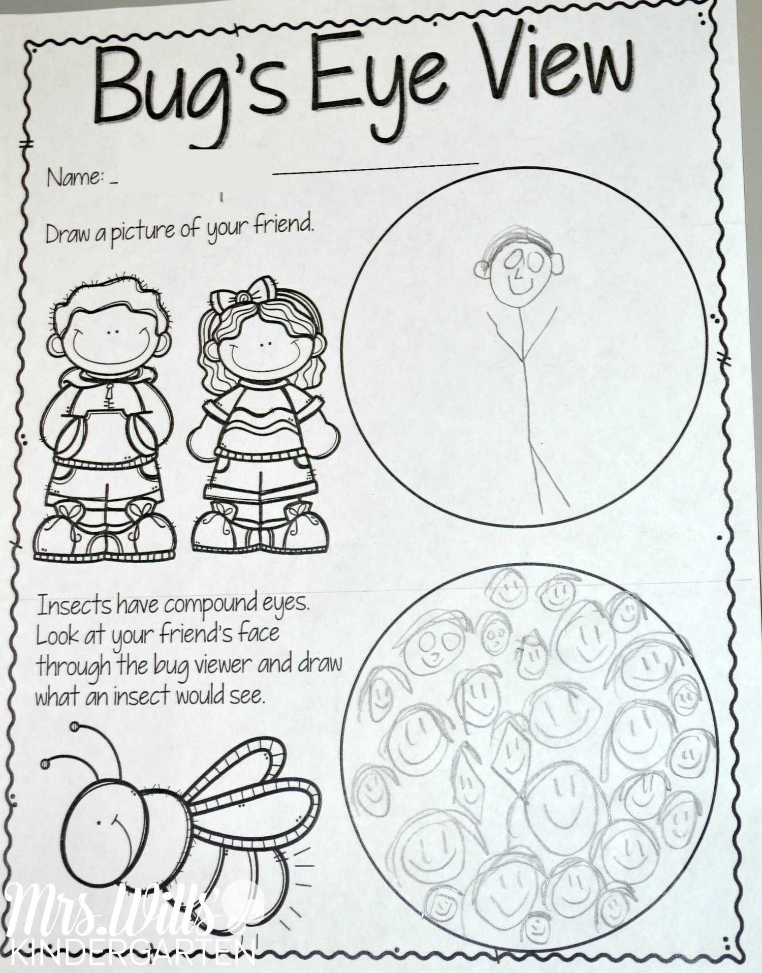 Insect Lesson Plans for Preschool Insect Lesson Plans for Kindergarten