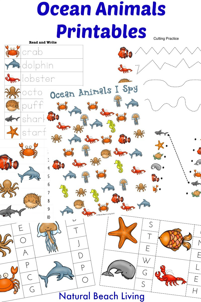 Ocean Lesson Plans Preschool Montessori theme Ocean Preschool Activities &amp; Printables
