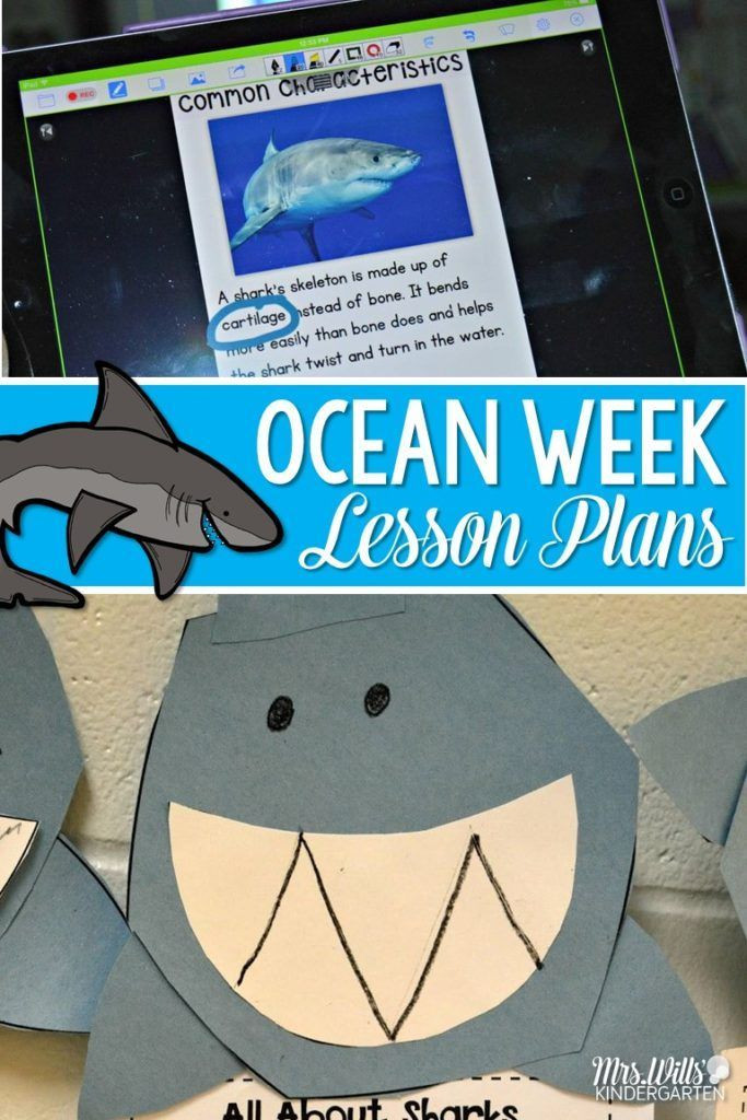 Ocean Lesson Plans Preschool Ocean Week with A Free File Woot