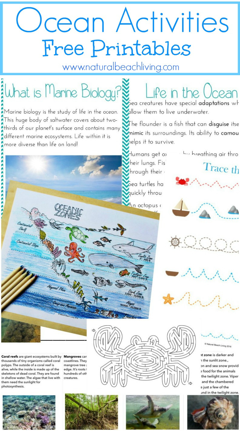 Ocean Lesson Plans Preschool the Best Ocean Animals Preschool Activities and Printables