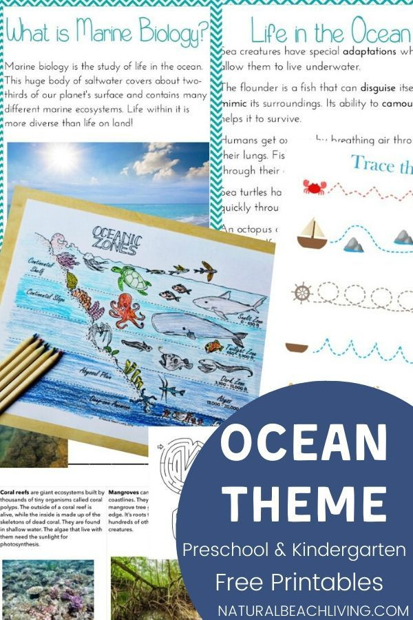 Ocean Lesson Plans the Best Ocean Unit Study for Kids Ocean Lesson Plans