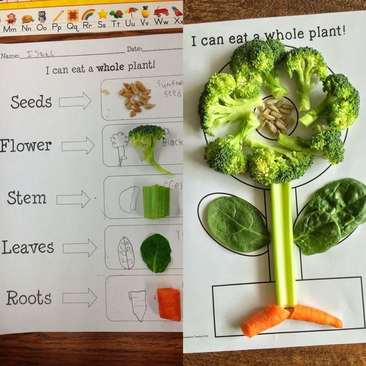 Plant Lesson Plans for Preschoolers Apr 17 3 Fun Ways to Teach Plants