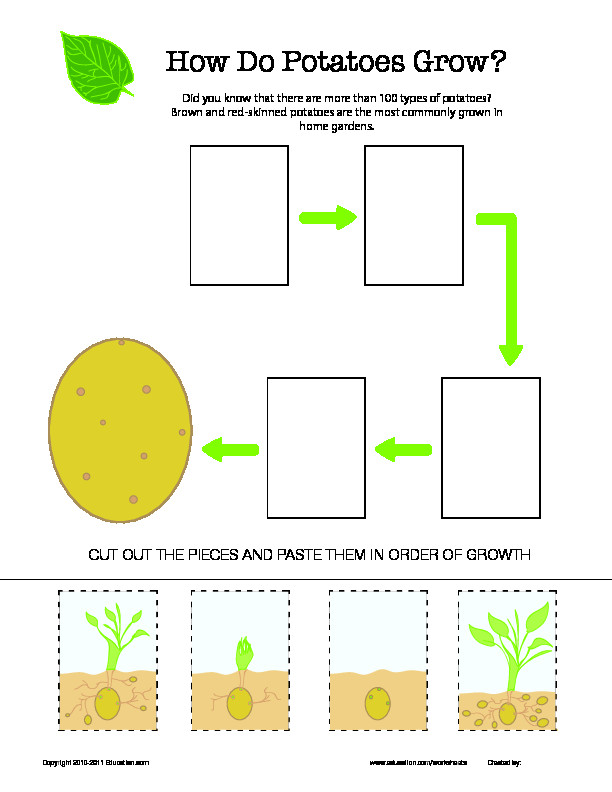 Plant Lesson Plans for Preschoolers From Seeds to Plants Lesson Plan