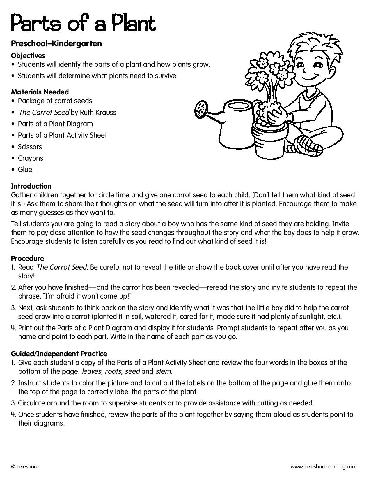 Plant Lesson Plans for Preschoolers Parts Of A Plant Lessonplan Science