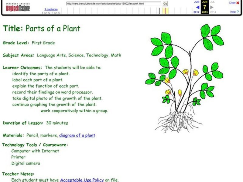 Plants Lesson Plan Parts Of A Plant Lesson Plan for 1st Grade