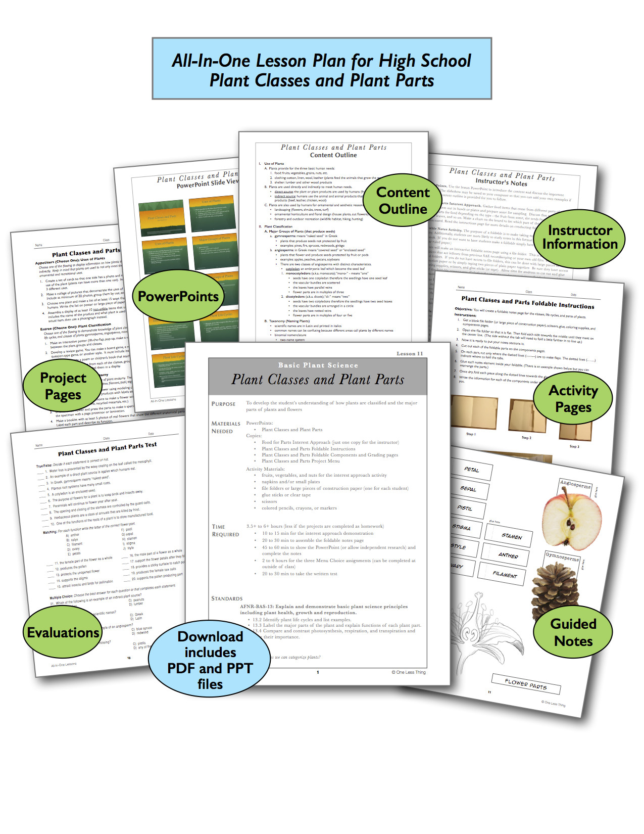 Plants Lesson Plan Plant Classes and Parts High School All In E Lesson