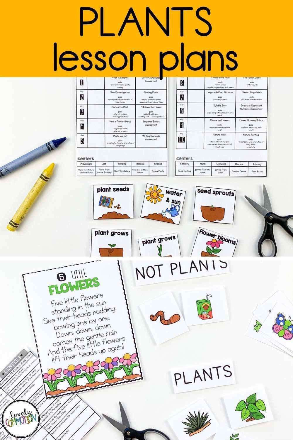 Plants Lesson Plan Preschool Lesson Plans Plants