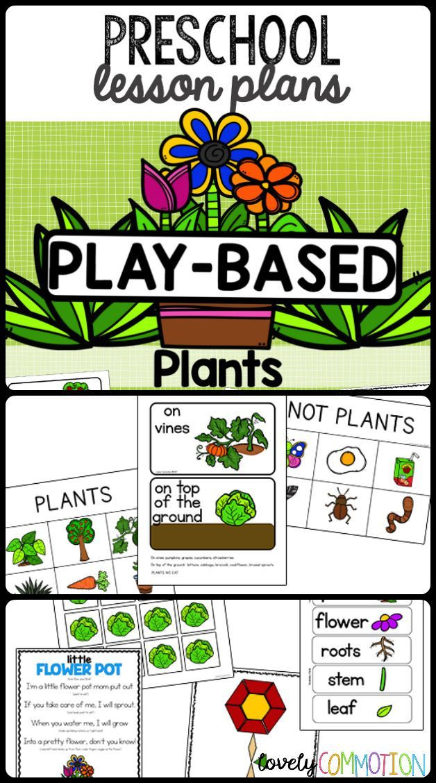 Plants Lesson Plan Preschool Lesson Plans Plants