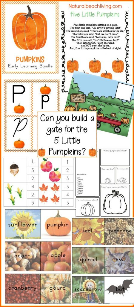 Pumpkin Lesson Plans for Preschool Best Kindergarten and Preschool Pumpkin theme Lesson Plan