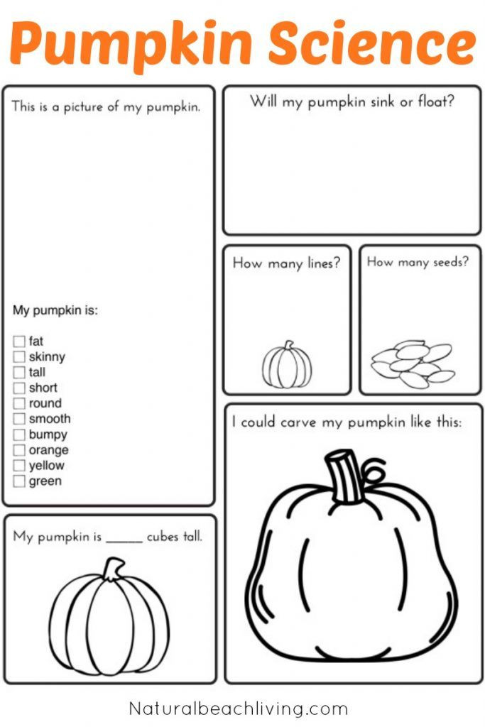 Pumpkin Lesson Plans for Preschool Pumpkin Activities for Kids Pumpkin theme Lesson Plan