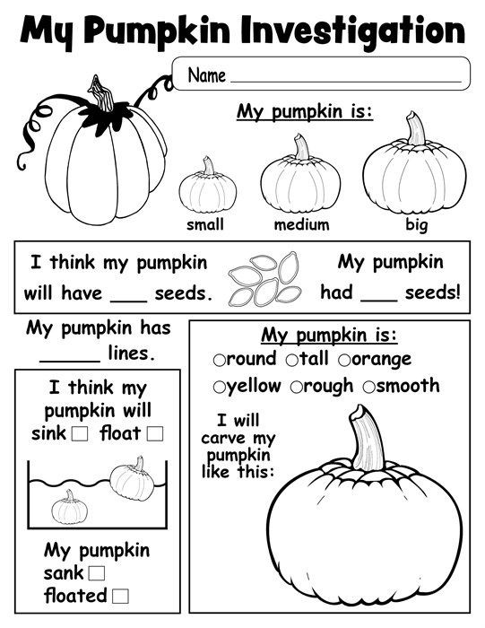 Pumpkin Lesson Plans for Preschool Pumpkin Investigation Worksheet Printable