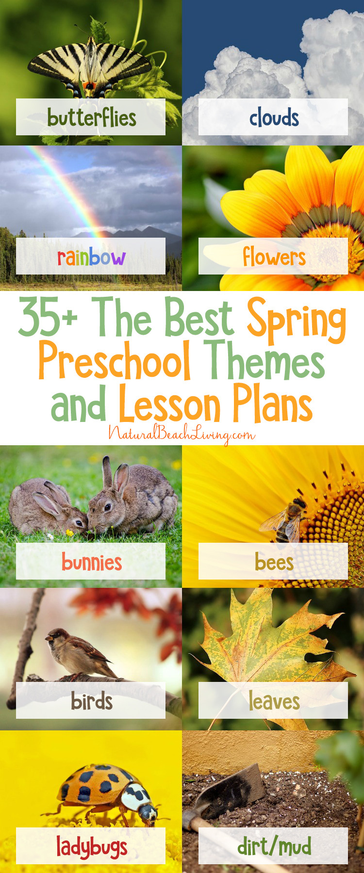 Spring Lesson Plans for toddlers 35 the Best Spring Preschool themes and Lesson Plans