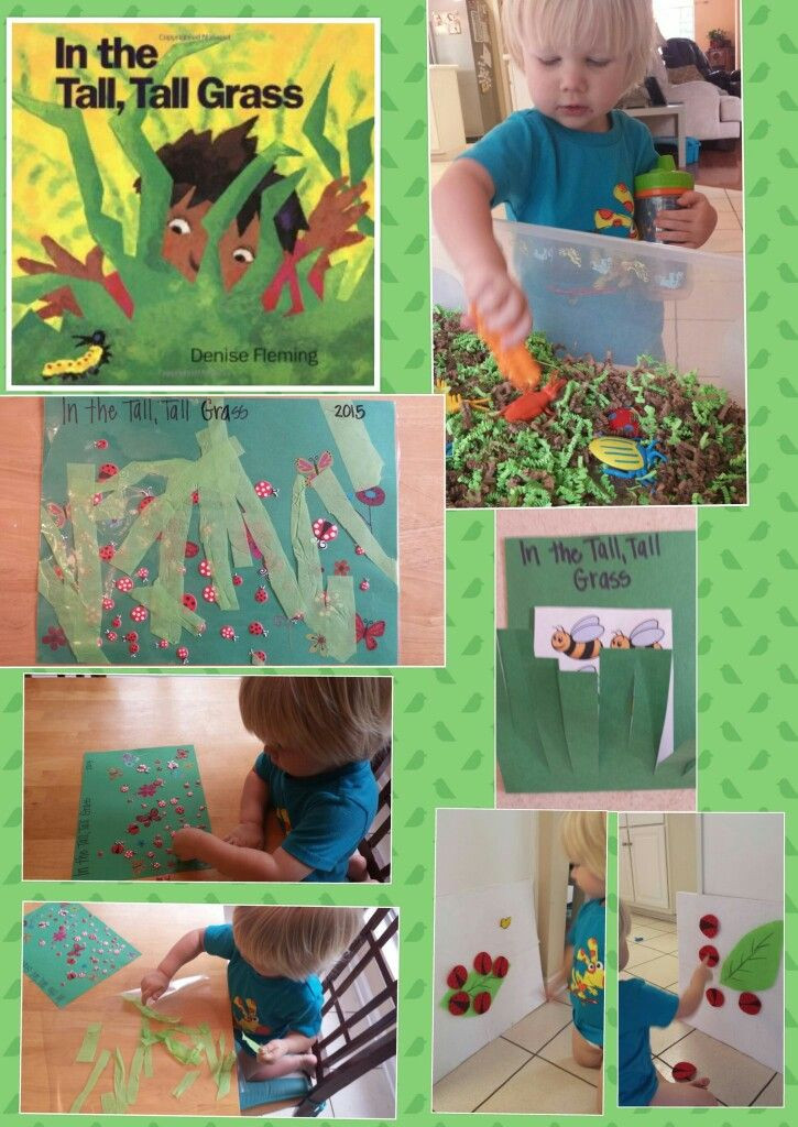 Spring Lesson Plans for toddlers In the Tall Tall Grass Activities for toddlers Preschool