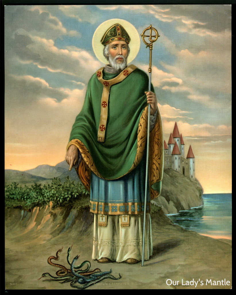 St Patrick&amp;#039;s Day Lesson Plan Fun and Cool Facts St Patrick Of Ireland