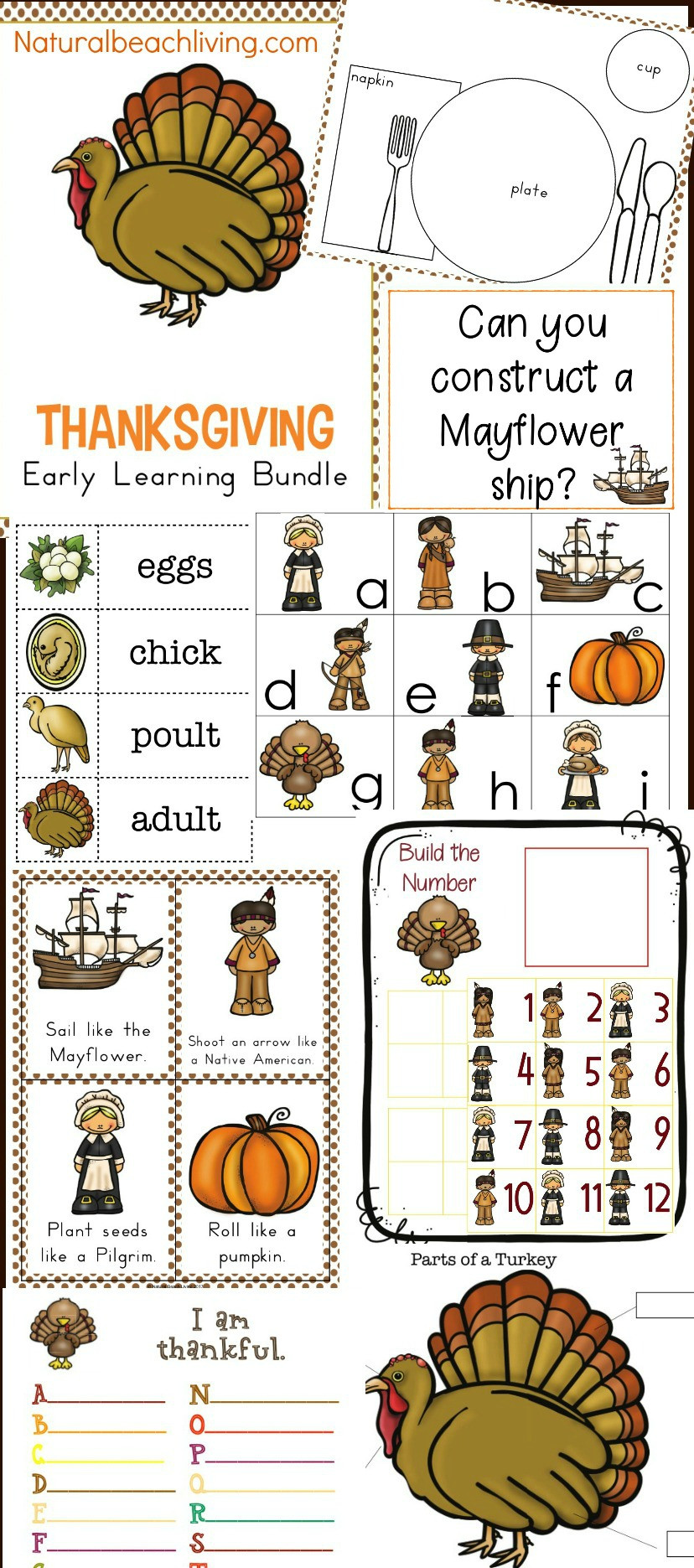 Thanksgiving Lesson Plans for Preschool Thanksgiving Kindergarten and Preschool theme Lesson Plan