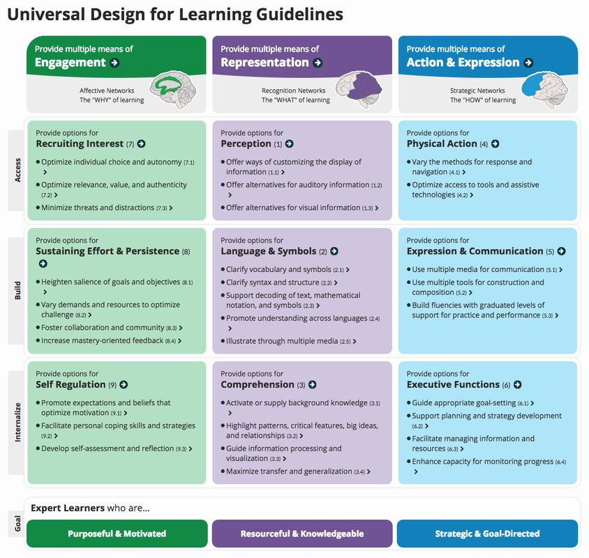 Udl Lesson Plan Examples 30 Udl Lesson Plan Template In 2020