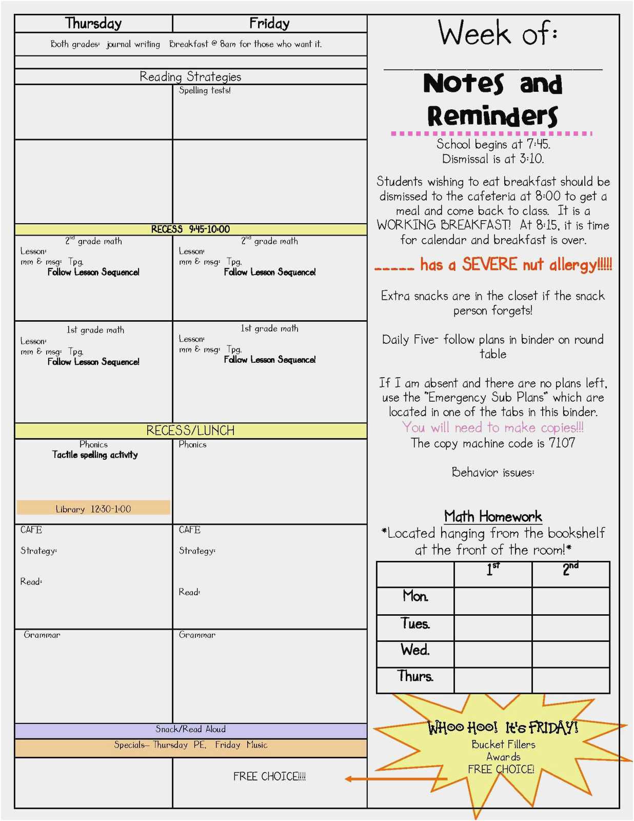 Udl Lesson Plan Examples Free Collection 55 Udl Lesson Plan Template