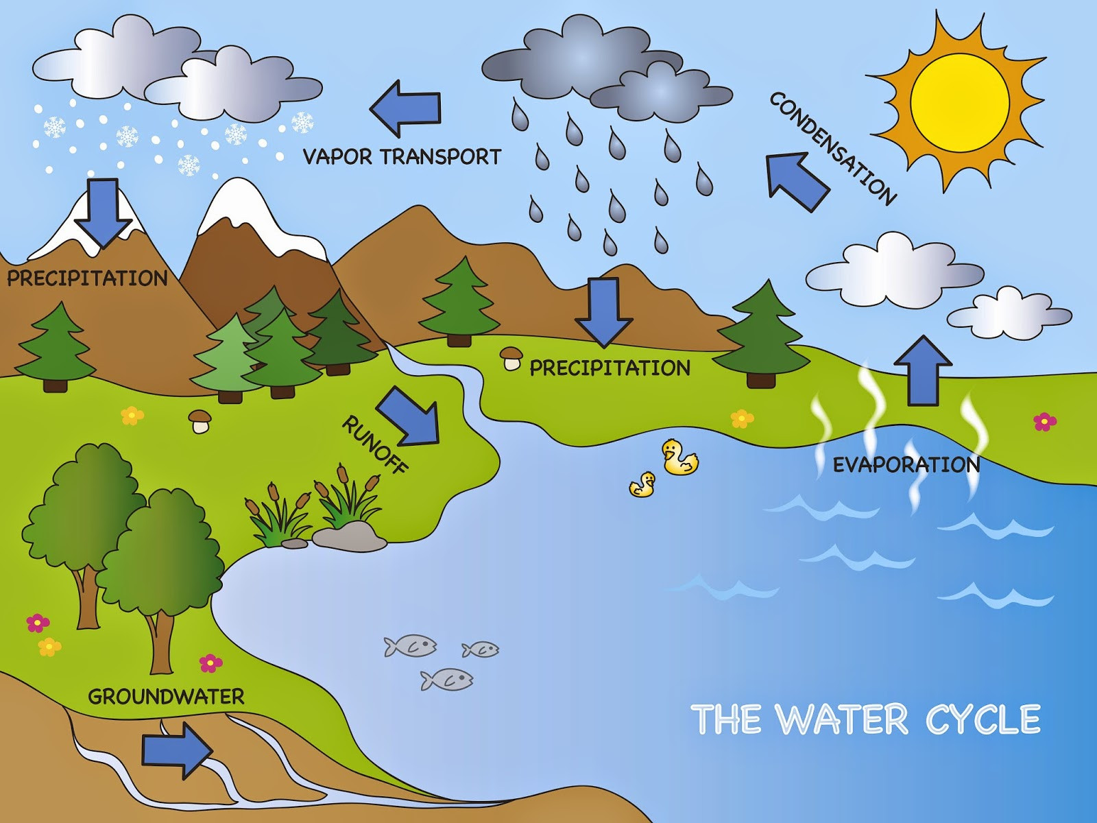 Water Cycle Lesson Plan Earth S Water Supply Lesson Plans for Elementary