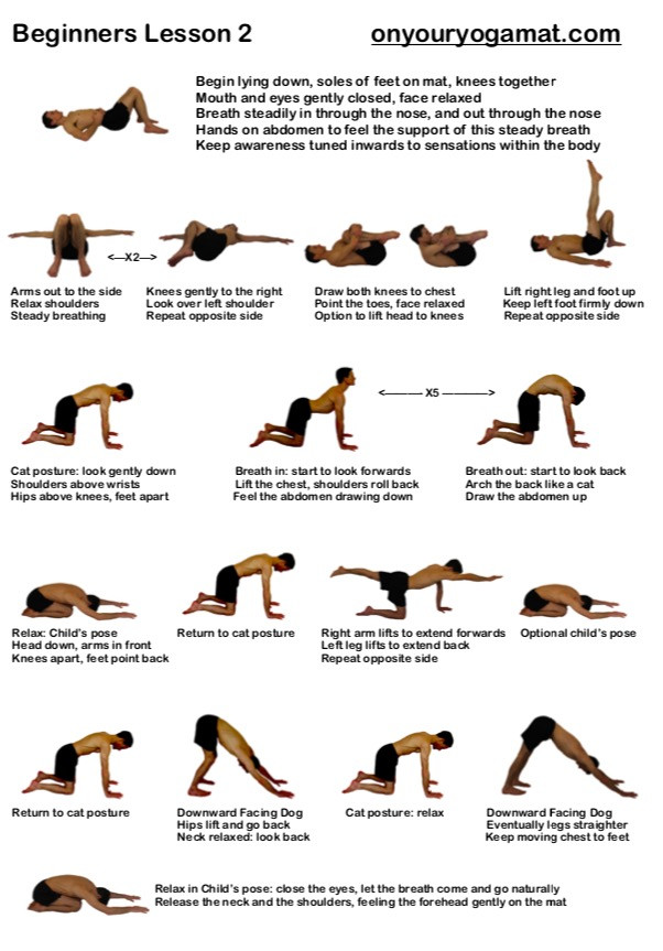 Yoga Sequencing Lesson Plans Beginner Yoga Sequence for Teachers Pdf